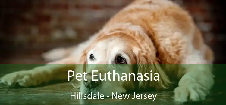 Pet Euthanasia Hillsdale - New Jersey