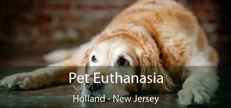 Pet Euthanasia Holland - New Jersey