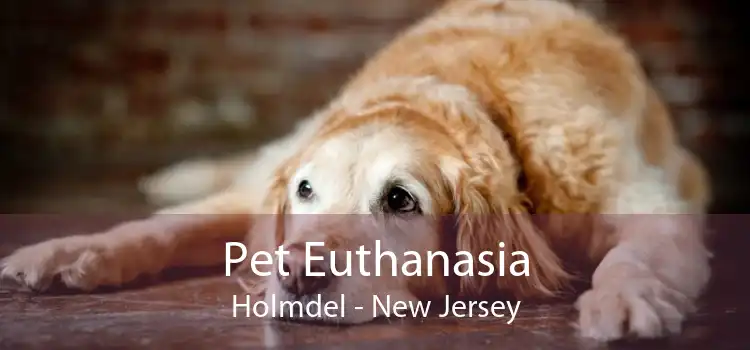 Pet Euthanasia Holmdel - New Jersey