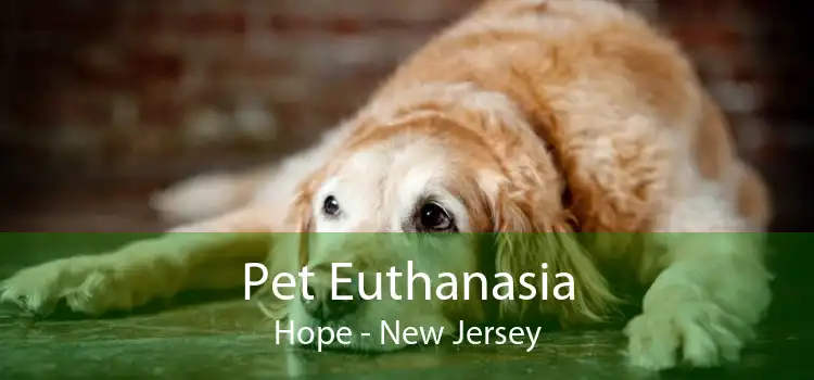 Pet Euthanasia Hope - New Jersey