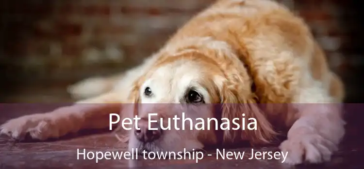 Pet Euthanasia Hopewell township - New Jersey