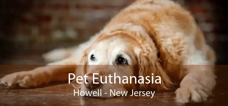 Pet Euthanasia Howell - New Jersey