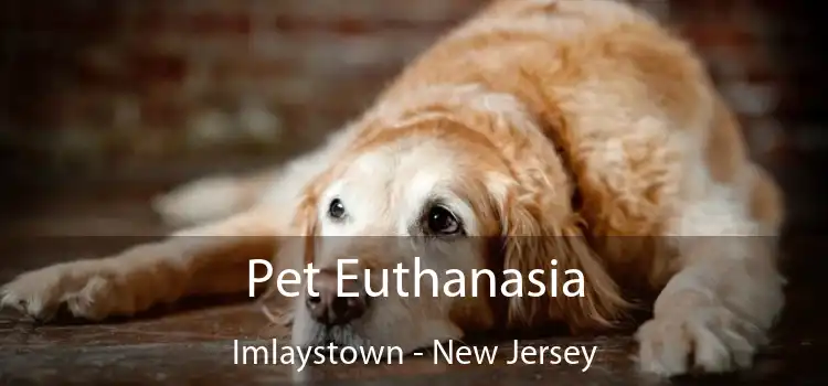 Pet Euthanasia Imlaystown - New Jersey