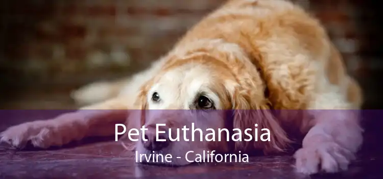Pet Euthanasia Irvine - California