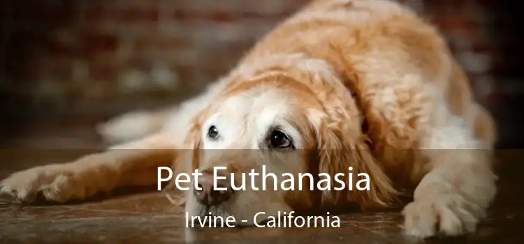 Pet Euthanasia Irvine - California