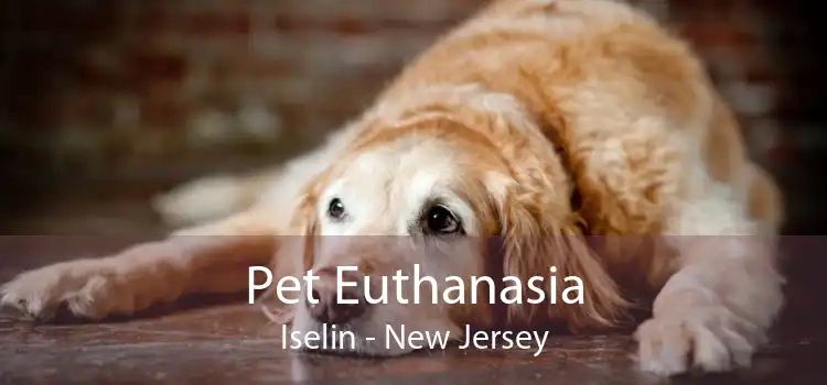 Pet Euthanasia Iselin - New Jersey