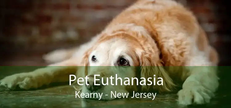 Pet Euthanasia Kearny - New Jersey