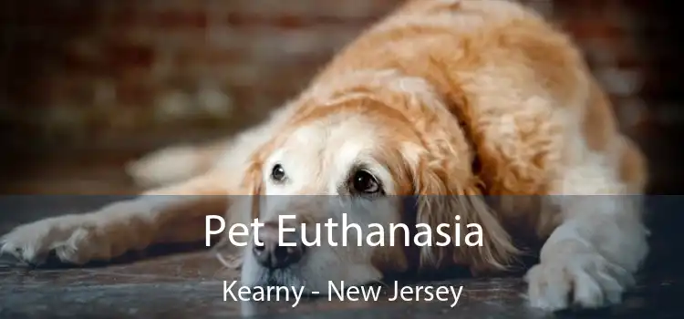 Pet Euthanasia Kearny - New Jersey