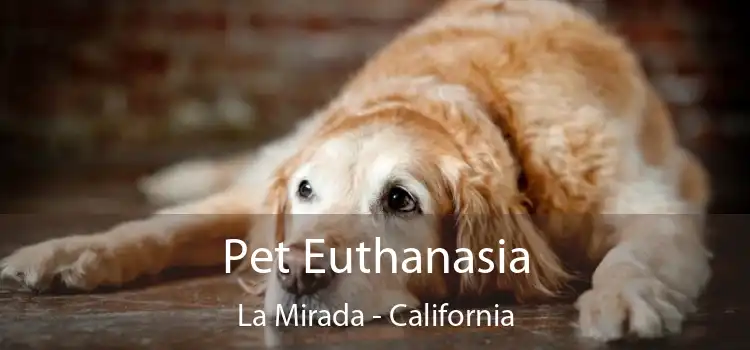 Pet Euthanasia La Mirada - California