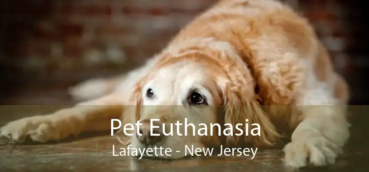 Pet Euthanasia Lafayette - New Jersey