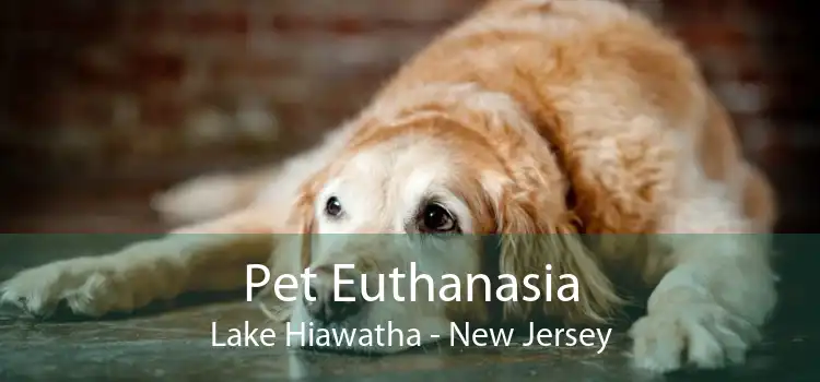 Pet Euthanasia Lake Hiawatha - New Jersey