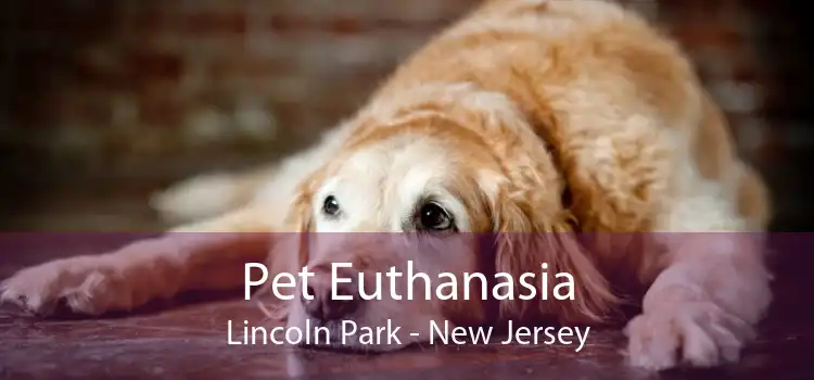 Pet Euthanasia Lincoln Park - New Jersey