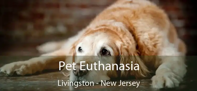 Pet Euthanasia Livingston - New Jersey