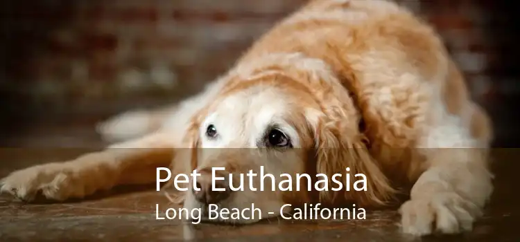 Pet Euthanasia Long Beach - California