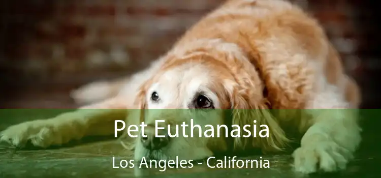 Pet Euthanasia Los Angeles - California