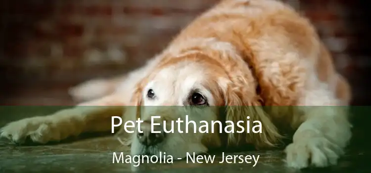Pet Euthanasia Magnolia - New Jersey