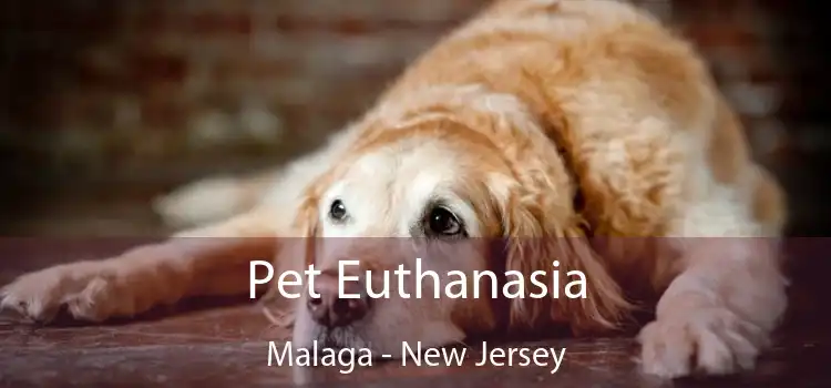Pet Euthanasia Malaga - New Jersey