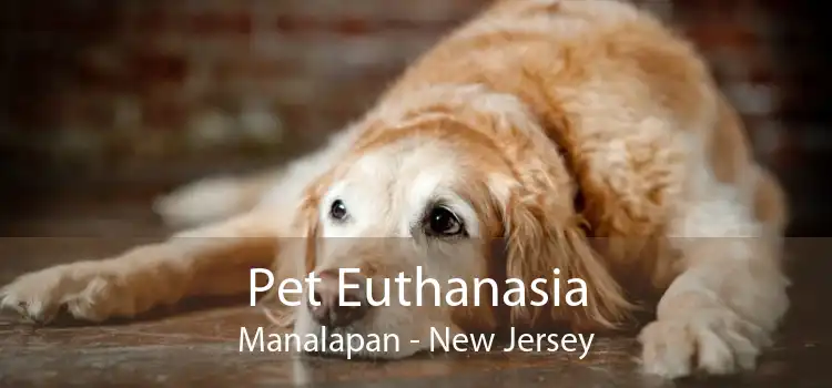 Pet Euthanasia Manalapan - New Jersey