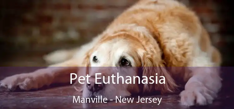 Pet Euthanasia Manville - New Jersey