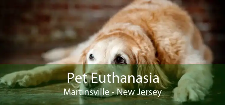 Pet Euthanasia Martinsville - New Jersey