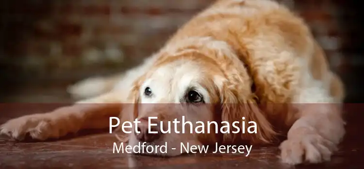 Pet Euthanasia Medford - New Jersey