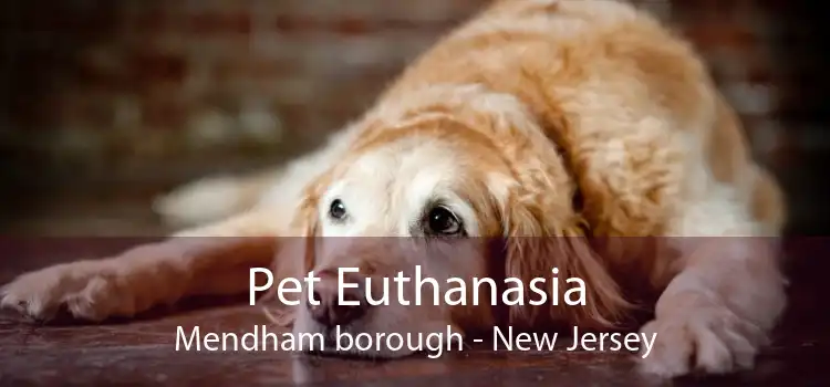 Pet Euthanasia Mendham borough - New Jersey