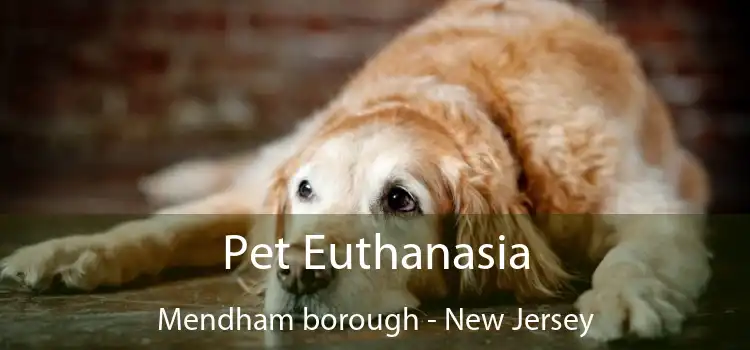 Pet Euthanasia Mendham borough - New Jersey