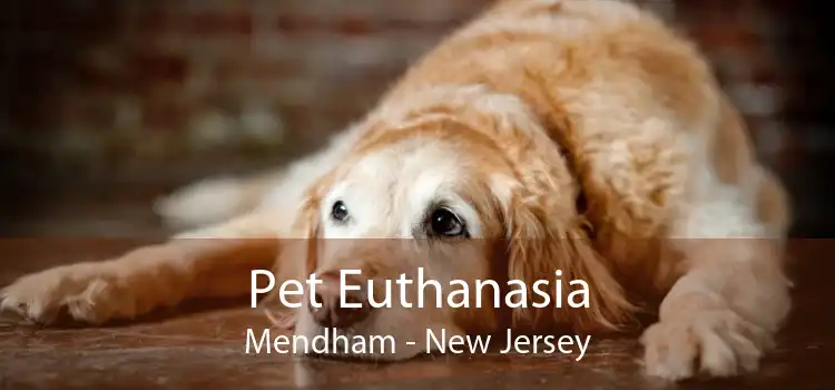 Pet Euthanasia Mendham - New Jersey