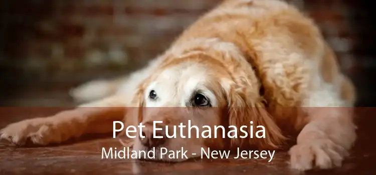 Pet Euthanasia Midland Park - New Jersey