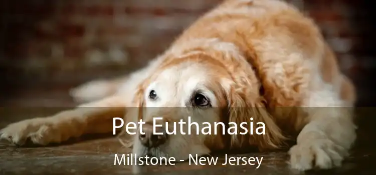 Pet Euthanasia Millstone - New Jersey