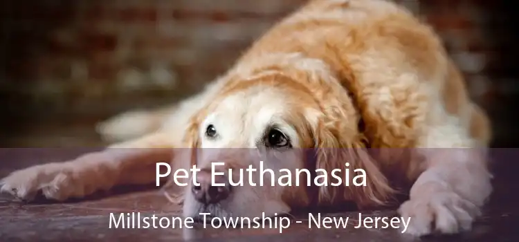 Pet Euthanasia Millstone Township - New Jersey