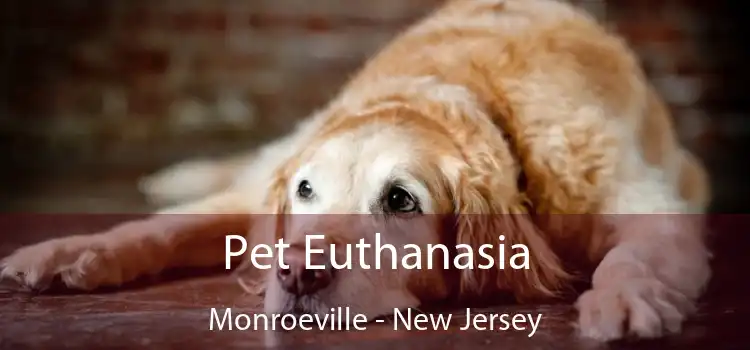Pet Euthanasia Monroeville - New Jersey
