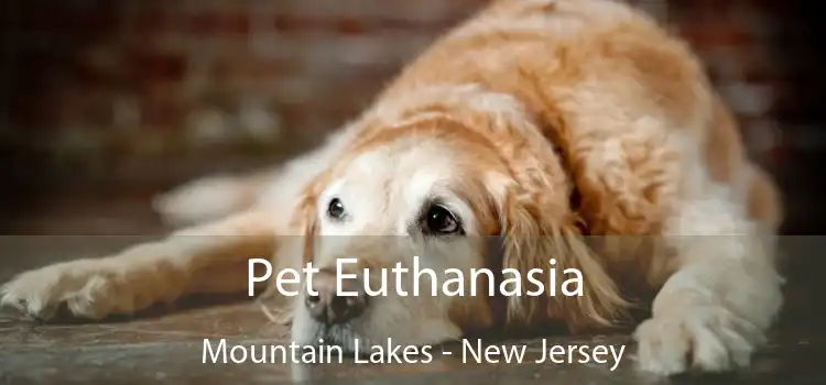 Pet Euthanasia Mountain Lakes - New Jersey