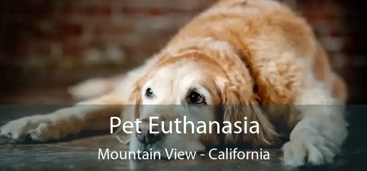 Pet Euthanasia Mountain View - California