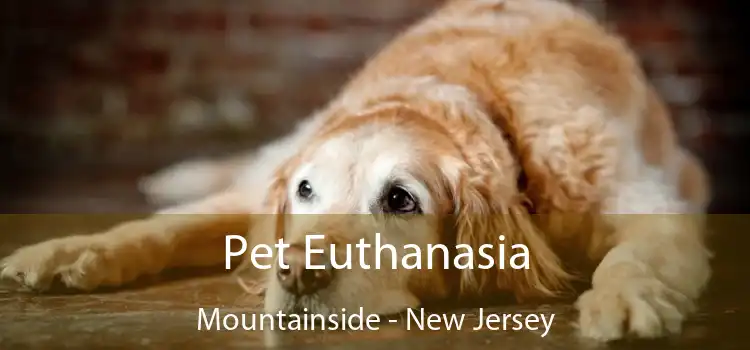 Pet Euthanasia Mountainside - New Jersey