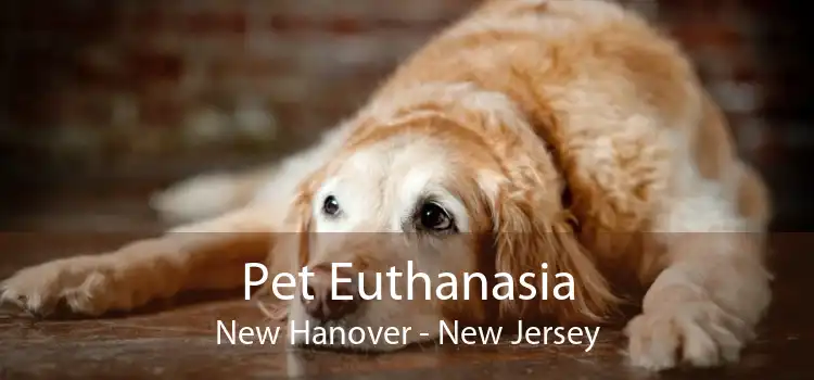 Pet Euthanasia New Hanover - New Jersey