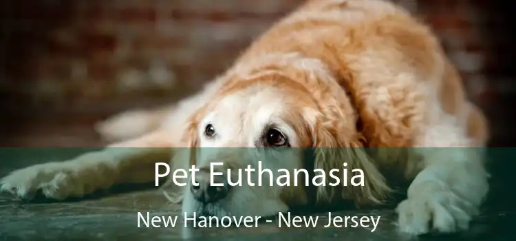 Pet Euthanasia New Hanover - New Jersey