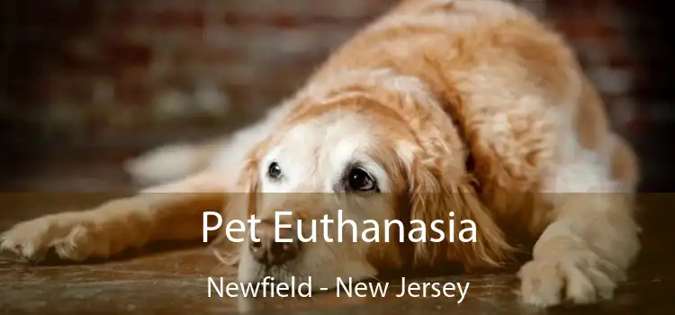 Pet Euthanasia Newfield - New Jersey