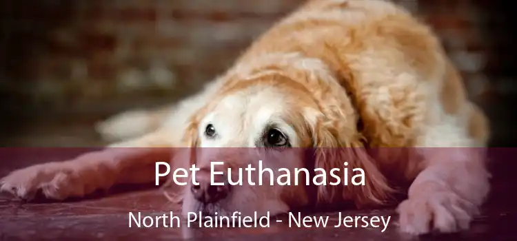 Pet Euthanasia North Plainfield - New Jersey