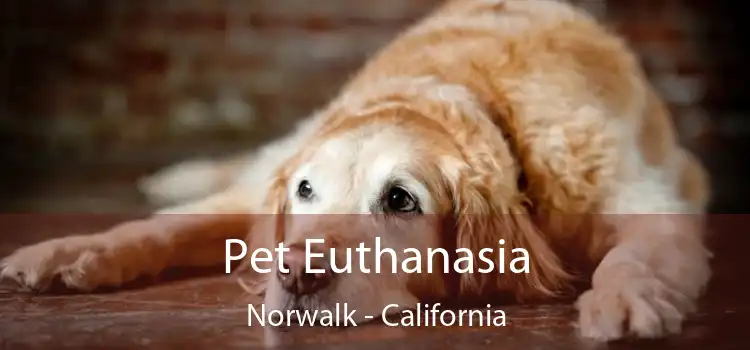 Pet Euthanasia Norwalk - California