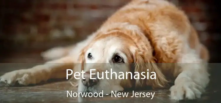 Pet Euthanasia Norwood - New Jersey