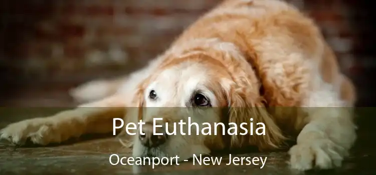 Pet Euthanasia Oceanport - New Jersey