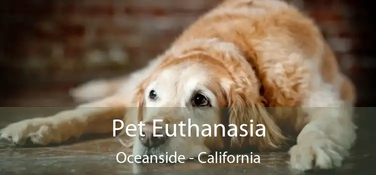 Pet Euthanasia Oceanside - California