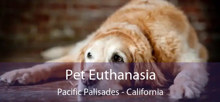 Pet Euthanasia Pacific Palisades - California