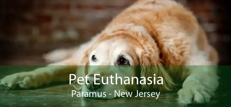 Pet Euthanasia Paramus - New Jersey