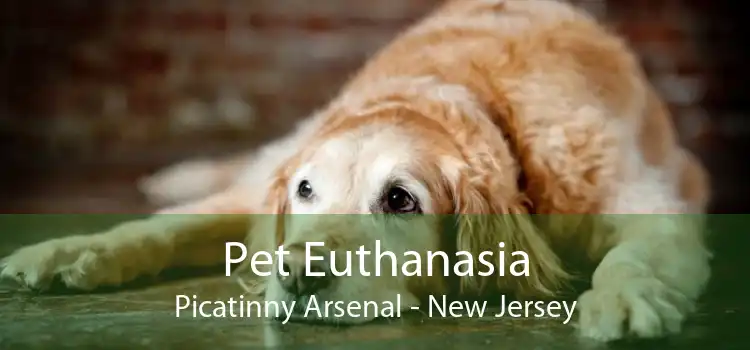 Pet Euthanasia Picatinny Arsenal - New Jersey