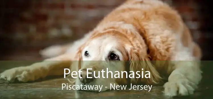 Pet Euthanasia Piscataway - New Jersey