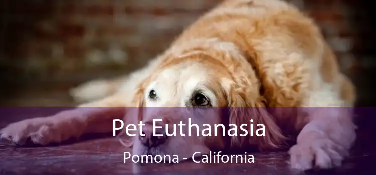 Pet Euthanasia Pomona - California