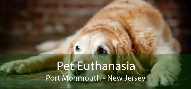 Pet Euthanasia Port Monmouth - New Jersey