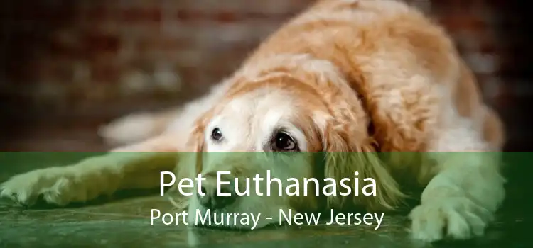 Pet Euthanasia Port Murray - New Jersey
